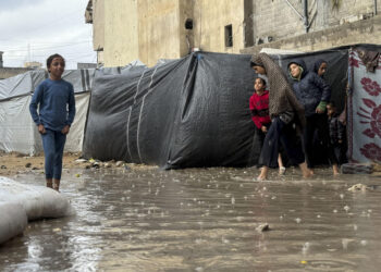 Un 80 % de los refugios de desplazados en Gaza están infestados de plagas, alerta la OMS