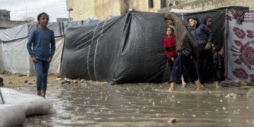 Un 80 % de los refugios de desplazados en Gaza están infestados de plagas, alerta la OMS