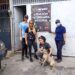 Jornada de esterilización de animales ya tiene fecha en Boconó 