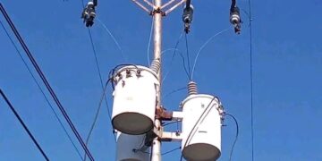 Corpoelec debe cambiar postes conductores de líneas y crucetas de madera en municipio Bolívar