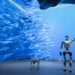 Los robots humanoides salen del laboratorio y preparan un despliegue masivo y millonario