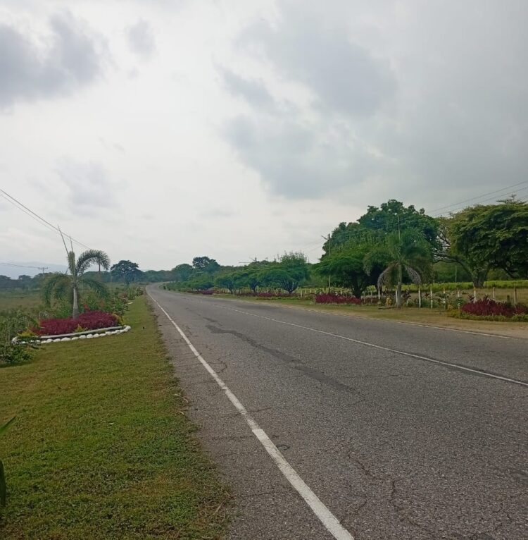 La panamericana en lo que corresponde al Dividive de Miranda se podría convertir en bulevar florido.