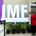 Venezuela designa a un gobernador ante el FMI, según el presidente del Banco Central