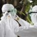 Ébola, claves de una crisis sanitaria que aún puede estar en «la punta del iceberg»