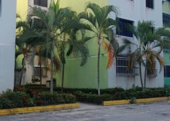 Zozobra en El Bosque 3: Vecinos denuncian amenaza permanente por canes peligrosos en áreas comunes de la Torre 21