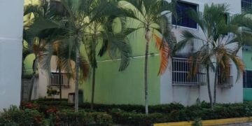 Zozobra en El Bosque 3: Vecinos denuncian amenaza permanente por canes peligrosos en áreas comunes de la Torre 21