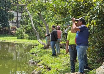 Mérida promueve ciencia y turismo durante jornada del Global Big Day