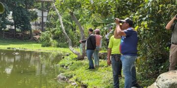 Mérida promueve ciencia y turismo durante jornada del Global Big Day