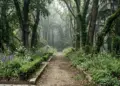 Entre el bosque y el jardín | Por: Arianna Martínez Fico