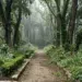 Entre el bosque y el jardín | Por: Arianna Martínez Fico