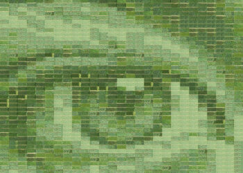 Un campo de trigo como lienzo: la obra ecologista que el cambio climático «casi destruyó»