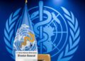 OMS: hantavirus sólo se transmite por contacto estrecho, con posible exposición a saliva