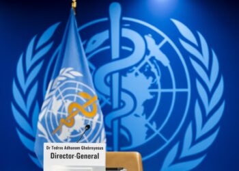 OMS: hantavirus sólo se transmite por contacto estrecho, con posible exposición a saliva