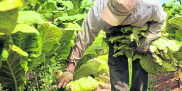 Productores y autoridades coordinan acciones en Trujillo contra el ingreso por contrabando de agroquímicos