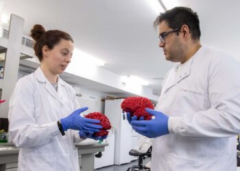 Descubren un ‘interruptor’ cerebral clave en el autismo y la esquizofrenia