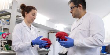 Descubren un ‘interruptor’ cerebral clave en el autismo y la esquizofrenia
