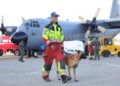 Bomberos, perros, drones, forenses: así ayuda la comunidad internacional a Venezuela