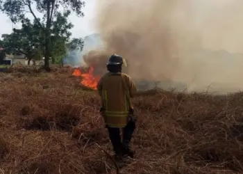 Bomberos del estado Trujillo registraron siete incendios de vegetación simultáneos en la entidad