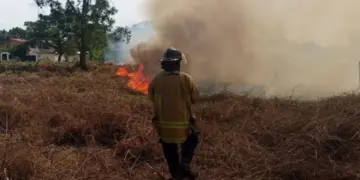 Bomberos del estado Trujillo registraron siete incendios de vegetación simultáneos en la entidad