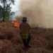 Bomberos del estado Trujillo registraron siete incendios de vegetación simultáneos en la entidad