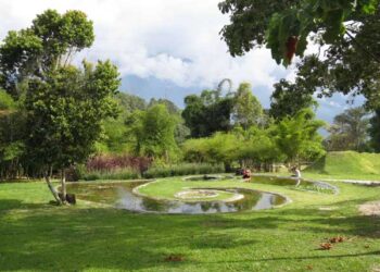 Entrada_Jardín_Botánico_Mérida