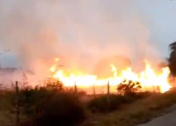 En Mérida organismos de seguridad y prevención controlaron incendio forestal de El Valle