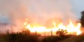En Mérida organismos de seguridad y prevención controlaron incendio forestal de El Valle