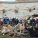 No pierden la fe: Rescatistas esperan encontrar con vida a personas atrapadas en edificio La Mar II de Tucacas