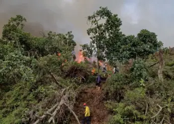 Autoridades controlan fuego en Carache y exhortan a agricultores a extremar precauciones