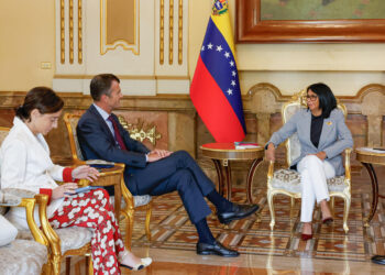 Venezuela y Organización Ítalo-Latinoamericana evalúan cooperación internacional