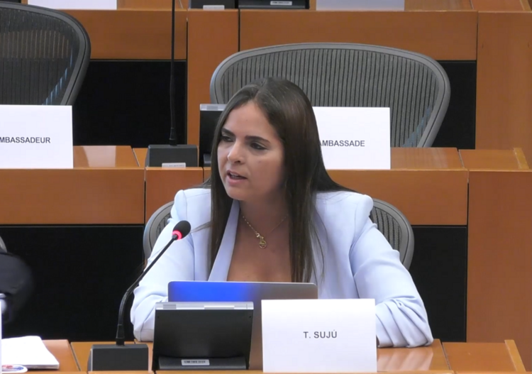El instituto exigió garantías de protección para los familiares y testigos de Víctor Quero Navas | Foto: Parlamento Europeo / captura de video