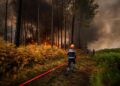 El incendio en Francia deja pérdidas millonarias, caída del turismo y mensajes erráticos