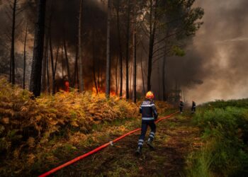 El incendio en Francia deja pérdidas millonarias, caída del turismo y mensajes erráticos