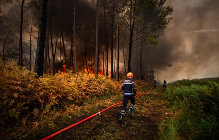 Una fotografía facilitada por el Servicio Departamental de Bomberos y Rescate 22 (SDIS33) muestra a bomberos trabajando para contener un gran incendio forestal cerca de Saumos, en el departamento de Gironda (Francia).EFE/EPA/MAEL DUBIEZ / SDIS33 /HANDOUT HANDOUT EDITORIAL USE ONLY/NO SALES