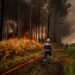El incendio en Francia deja pérdidas millonarias, caída del turismo y mensajes erráticos
