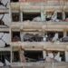 Del rescate a la remoción de escombros, un mes de los sismos en la zona cero de Venezuela