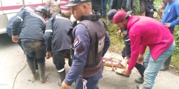 Muere joven al caer con su vehículo al río Burate en Boconó 