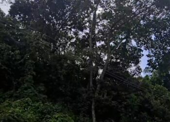 Boconeses rinden un homenaje a las víctimas del doblete sísmico