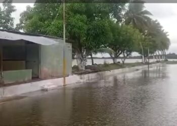 Fuerte oleaje en La Ceiba debilita bordes de tierra firme y muros de contención existentes