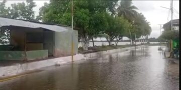Fuerte oleaje en La Ceiba debilita bordes de tierra firme y muros de contención existentes