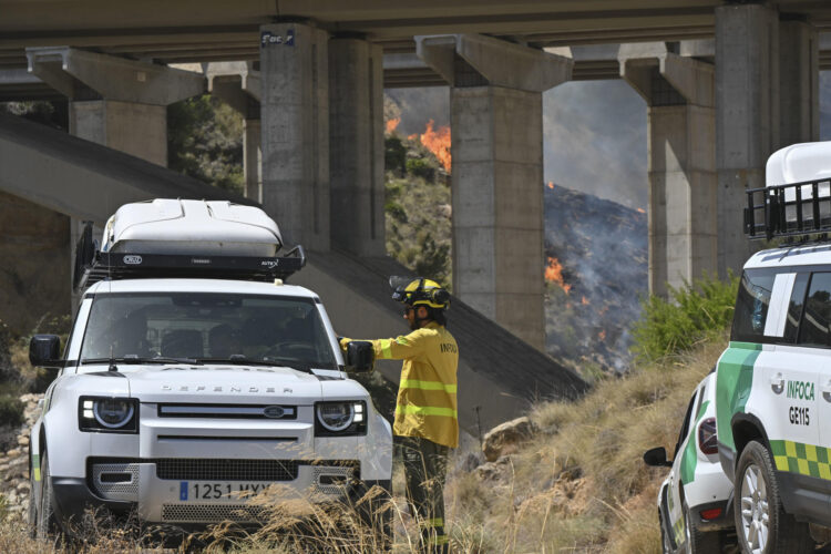 LOS GALLARDOS (ALMERÍA).- Efectivos antiincendios trabajan este viernes en labores de extinción del incendio de Los Gallardos (sureste de Almería). EFE / Carlos Barba