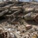 Cientos de sobrevivientes de los terremotos afrontan amputaciones y una larga rehabilitación