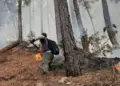 Siete municipios de Trujillo registran afectaciones por incendios forestales