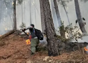 Siete municipios de Trujillo registran afectaciones por incendios forestales