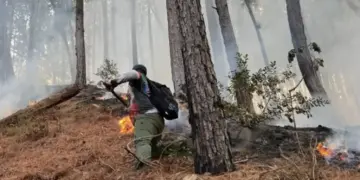 Siete municipios de Trujillo registran afectaciones por incendios forestales