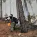 Siete municipios de Trujillo registran afectaciones por incendios forestales