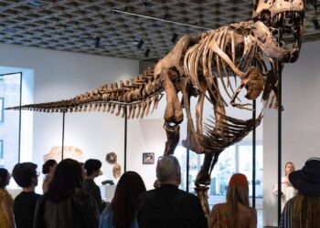 Un esqueleto de T. Rex se vende por un récord de 50,1 millones en subasta en Nueva York