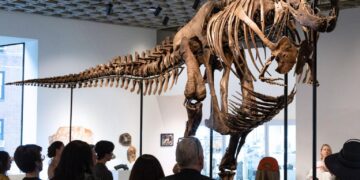 Un esqueleto de T. Rex se vende por un récord de 50,1 millones en subasta en Nueva York
