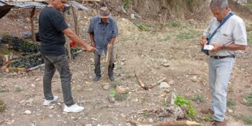 Inician fase técnica en el sector 1 Cambullón del proyecto Colina Verde