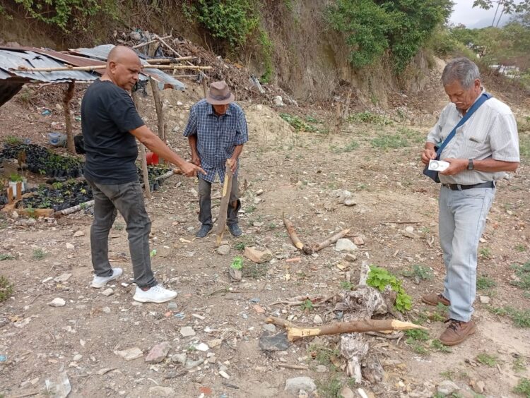 Levantamiento planimétrico en el área del proyecto